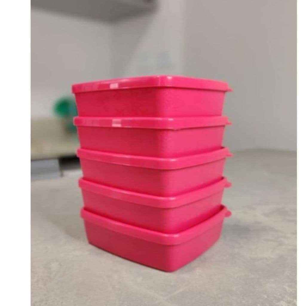 Caixa tupperware diversos G