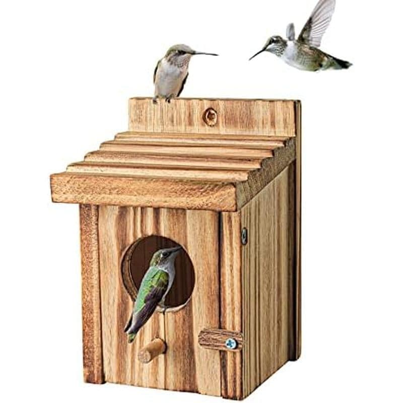 Humming Bird Houses Para Pendurar Ao Ar Livre Caixa De Nidificação De Pássaros Pequenos-Ninho De Madeira Wren , Chickade
