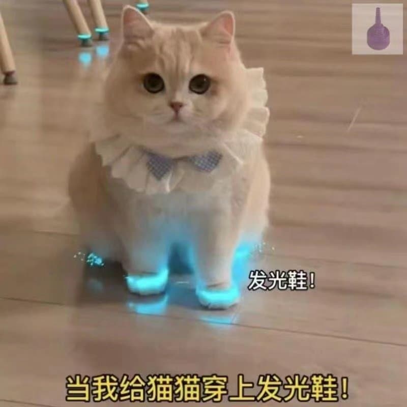 Gato sapatos luminosos brinquedo Pet cão sapatos de bebê luminoso brinquedos das crianças noite foto acessórios de vídeo