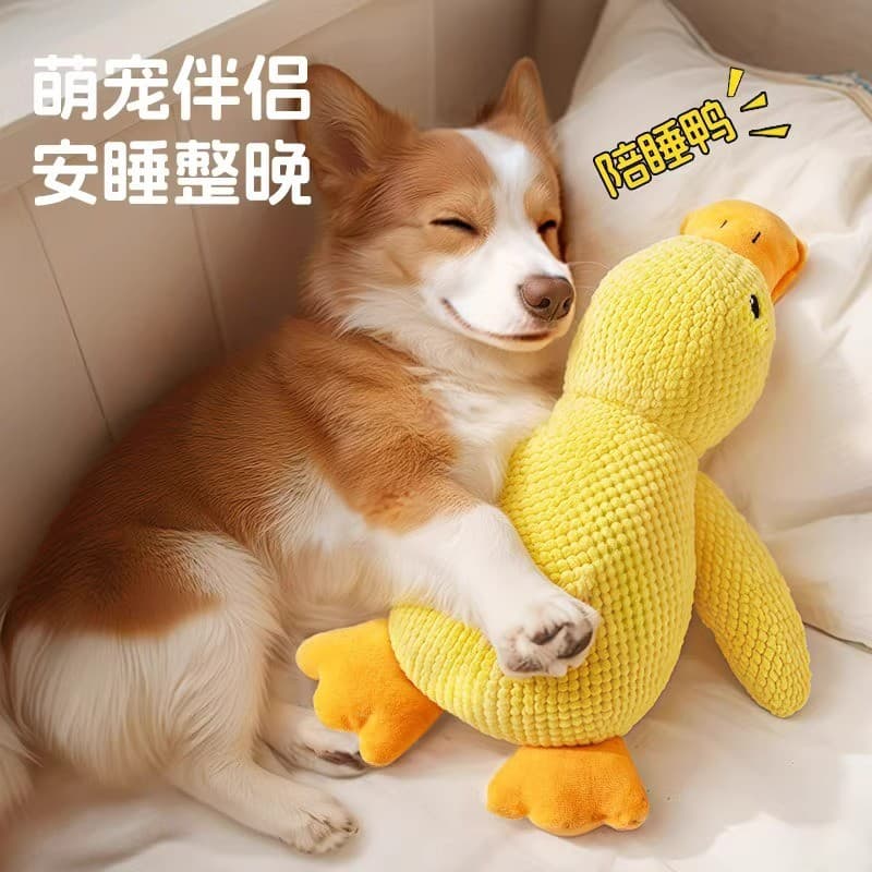 Assalto pato cão voz pelúcia dormir pato brinquedo pequeno cão de tamanho médio Teddy acompanhando gato interativo