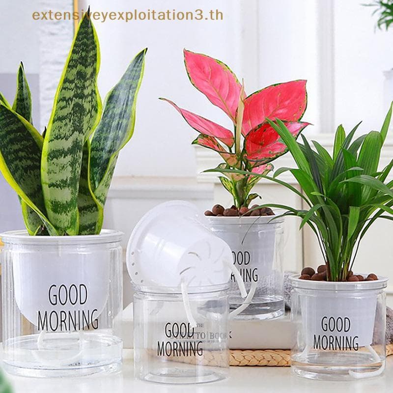Casa EE Mini Vaso De Flores Com Rega Automática Para Tanque De Peixes Vasos De Plantas De Plástico Transparente Planta D