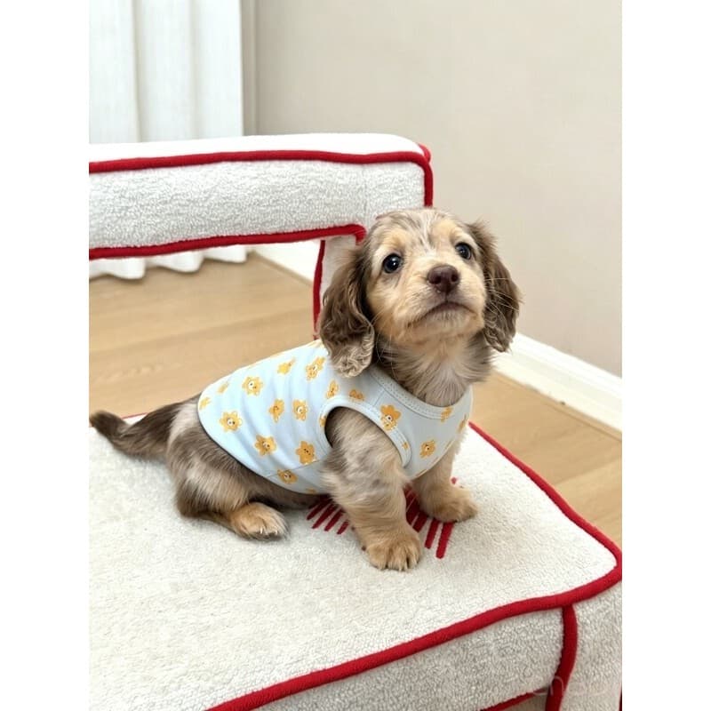 Dachshund colete filhote de cachorro roupas para cães verão estilo fino Marta Yorkshire Shih Tzu protetor solar verão ro