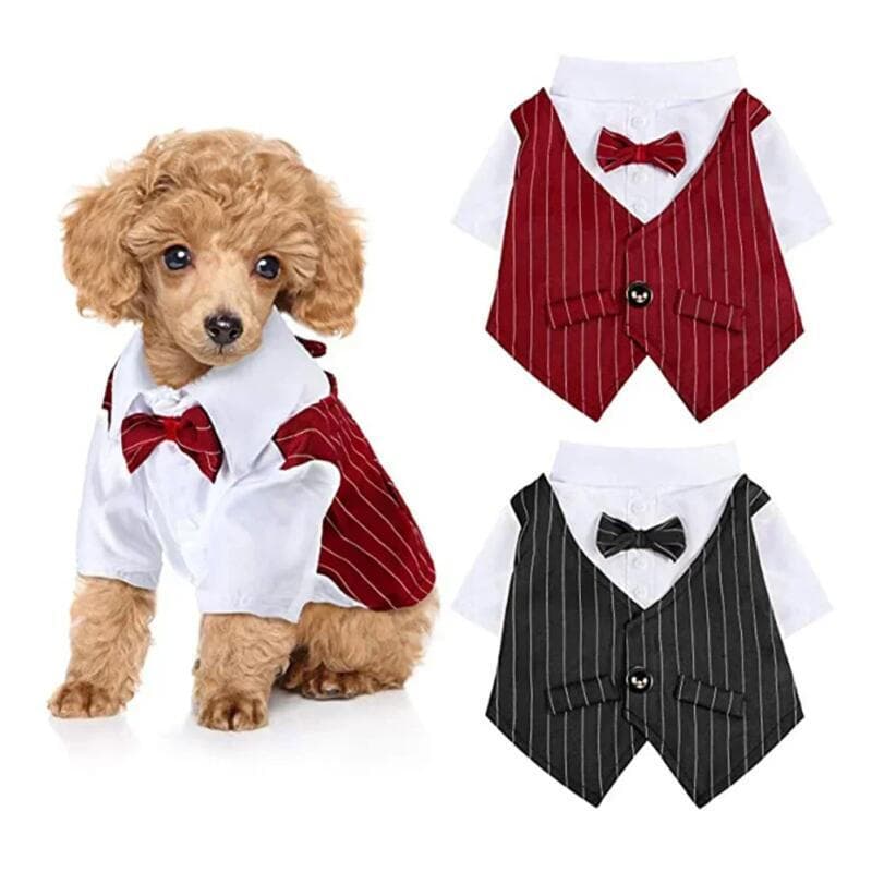 Estilo Inglês Cavalheiro Vestido De Cachorro Terno Com Gravata Para Ocasiões Formais Quatro Estações Casamento Pet Foto