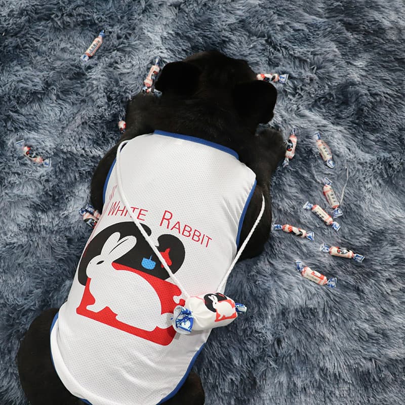Roupas para animais de estimação Street Wear verão colete respirável roupas para cães de pelúcia pequeno estilo fino pet
