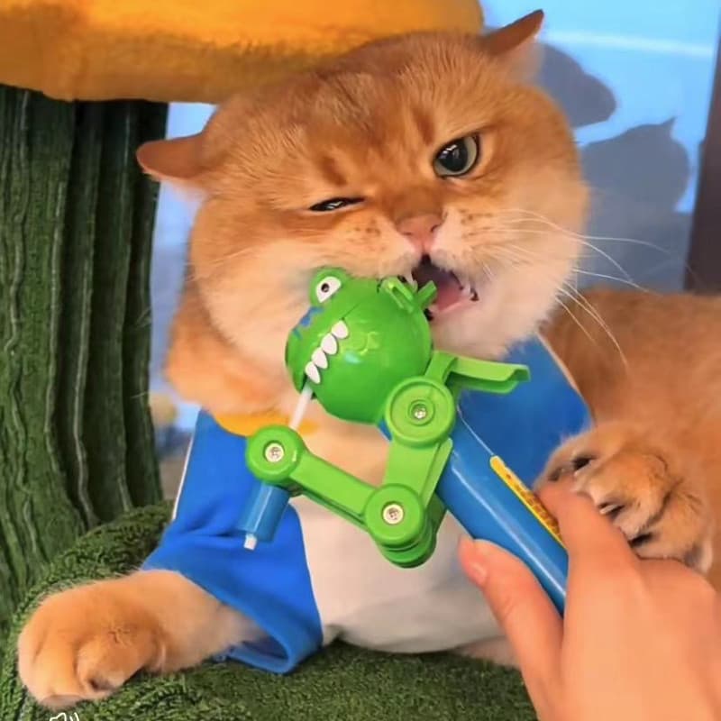 Boca Engraçada Dinossauro Gato Hortelãs Provocam Brinquedos Para Cães E Gatos De Estimação Halloween