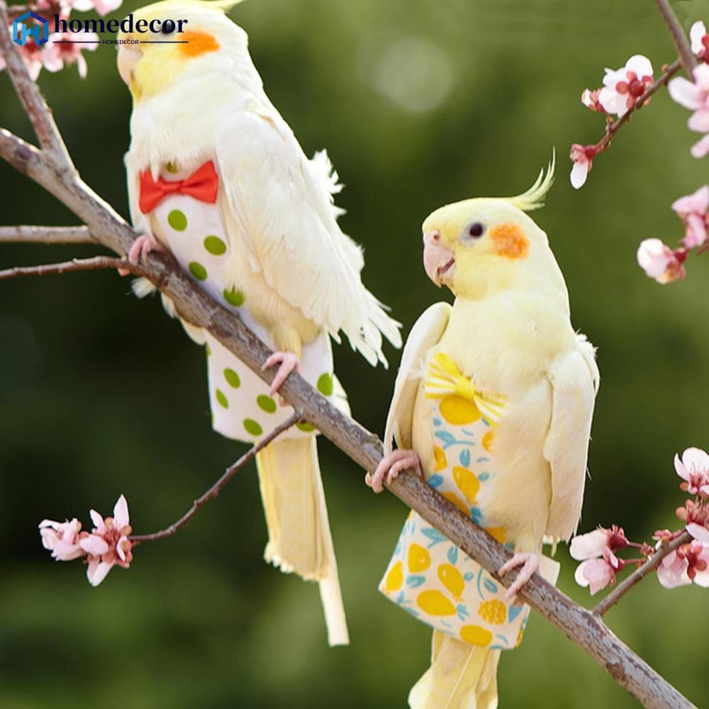Homedecoração Bonito Pássaros Terno De Vôo Papagaio Fralda Roupas Para Animais De Estimação Periquito Pombo Médio Grande