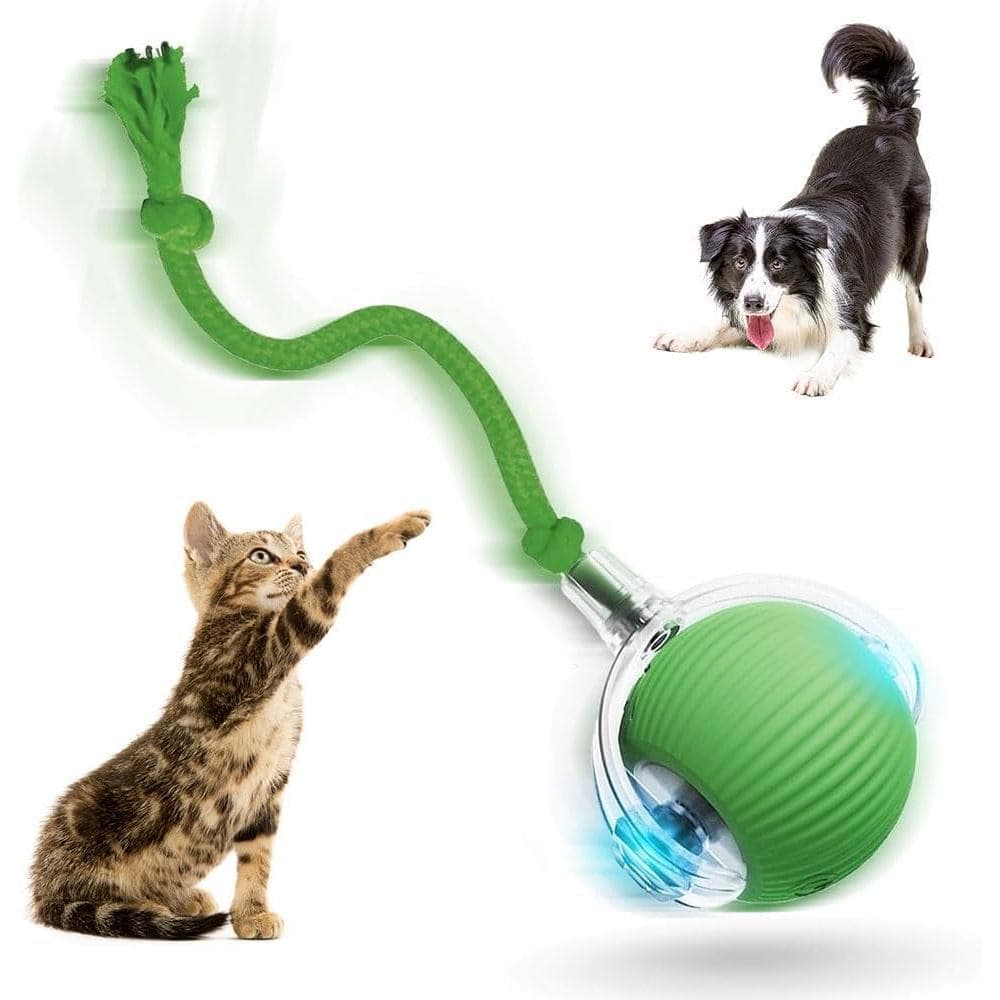 Nova Bola Interativa para Gatos 2026, Bola Ativada por Movimento 360 Graus para Cães °     Brinquedo inteligente com mov