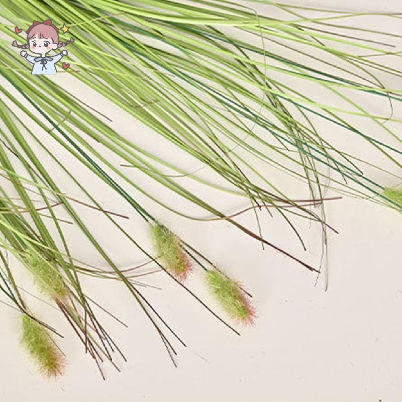 Pacote De Grama De Cauda De Raposa Artificial , Haste De Palheta Falsa De Aparência Natural , Decoração Pampas De Pelúci