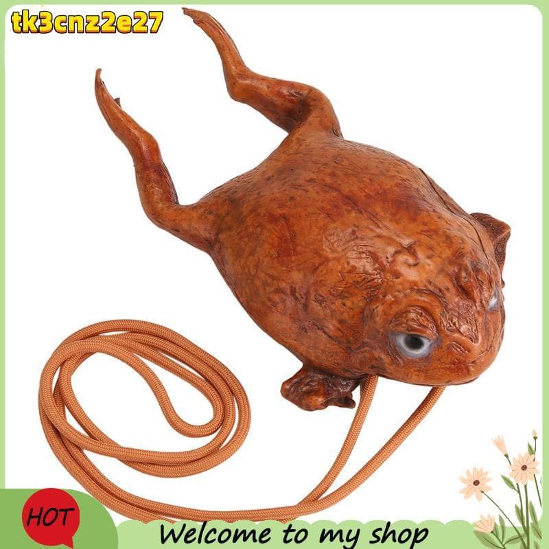 Engraçado Sapo Carteira Individualidade Animal Moeda Bolsa Realista Humor Decoração Armazenamento Presentes