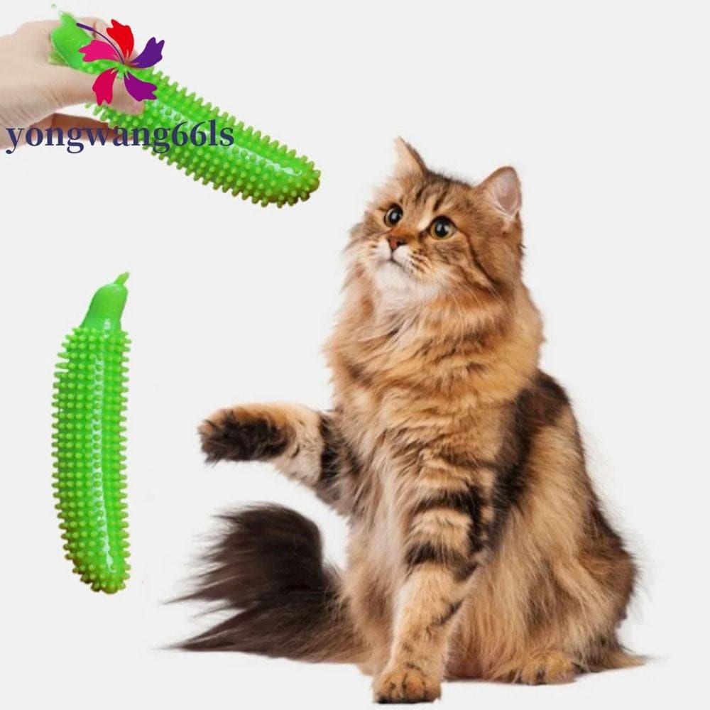 YONGWANG Vara Para Morder Cães , Bastão De Moagem Resistente Ao Desgaste Em Formato De Pepino Molar Animais De Estimação