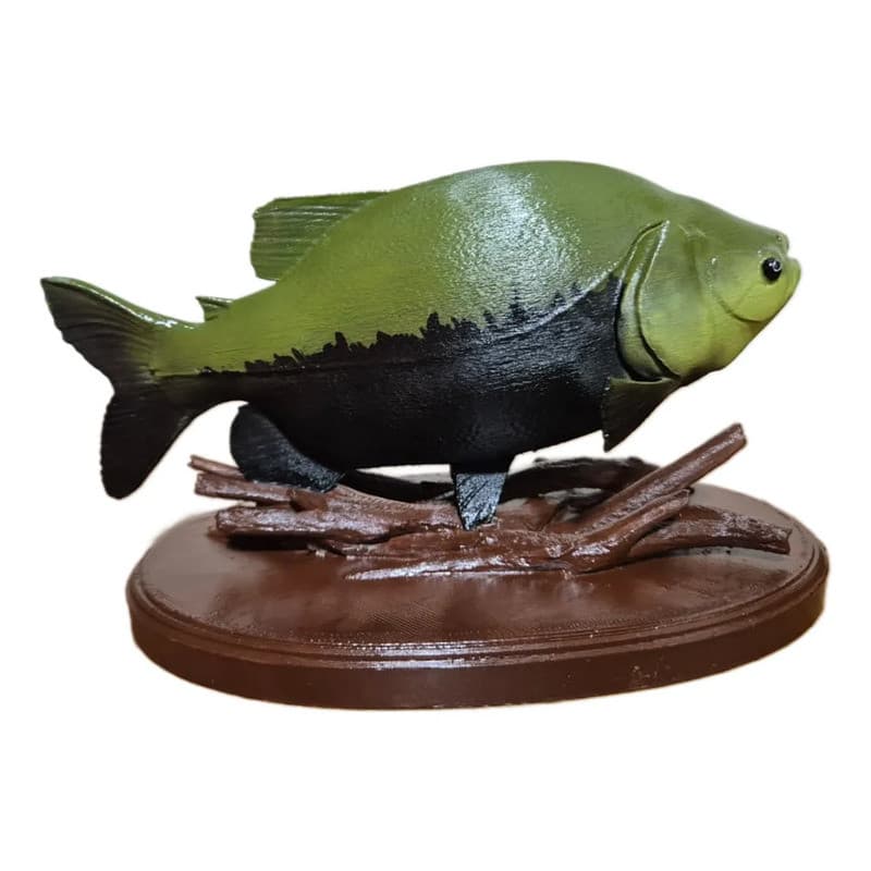 Enfeite de Mesa Tambaqui Peixe Decorativo Presente Pescador