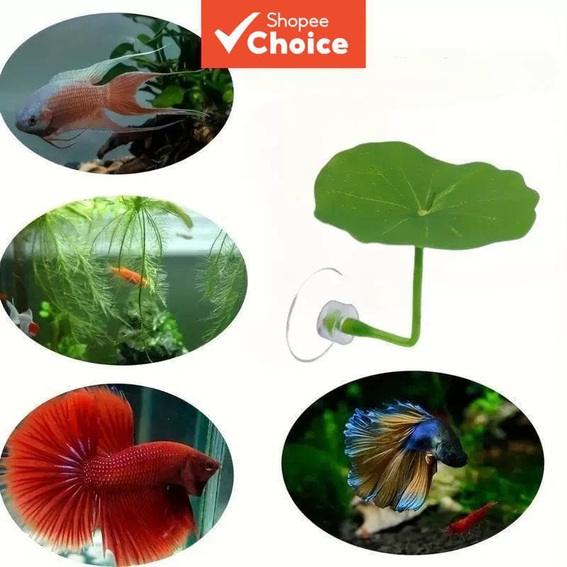 Rede De Folhas De Peixe Betta Com Ventosa , Decoração Macia De Aquário , Local De Descanso Para Dormir , Esconder , Brin