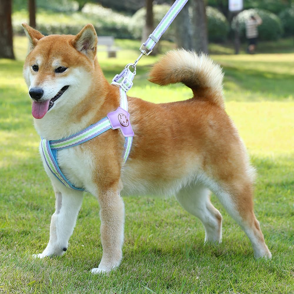 Coleira de verão para cães, respirável, ajustável, cinta peitoral, Shiba Inu Corgi, médio, grande, cachorro, caminhada,