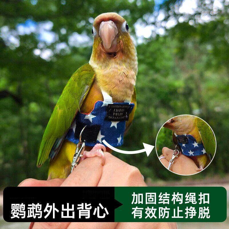 Roupas de papagaio Ultra-leve pássaro andando ferramenta útil alça de passeio vento preto pele de tigre peônia corda voa
