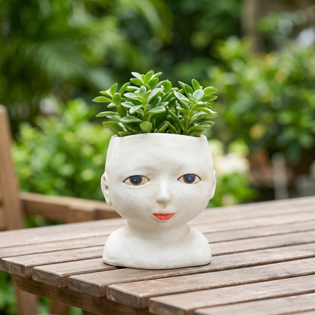 Plantador De Rosto Desgastado Em Forma Vaso De Flores Decorativo Elegante Para Decoradores , Estante , Mesa