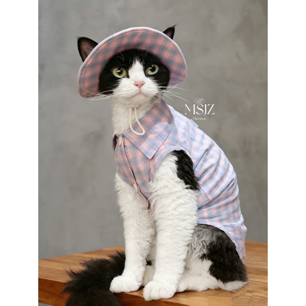 Rosa azul verificação sem mangas camisa alemão roupas de gato gato sem pêlos Abi gato puro algodão respirável pele-