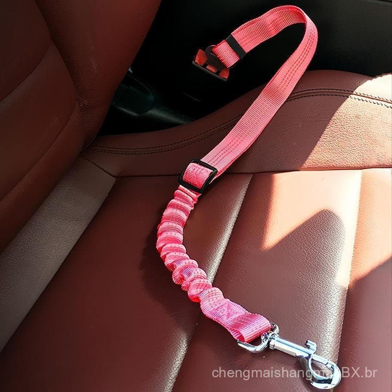 Coleira ajustável para animais de estimação, coleira de segurança para gatos, coleira universal para cães e gatos.