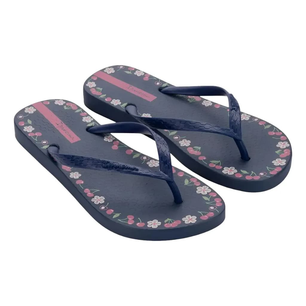 Chinelo Ipanema Day Casual Confortável Original 27321