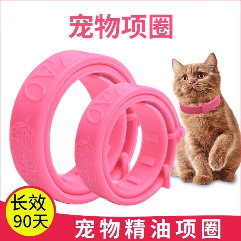 Coleira para animais de estimação Universal para gatos cães trela ajustável bonito Teddy cães pequenos sino colar colar