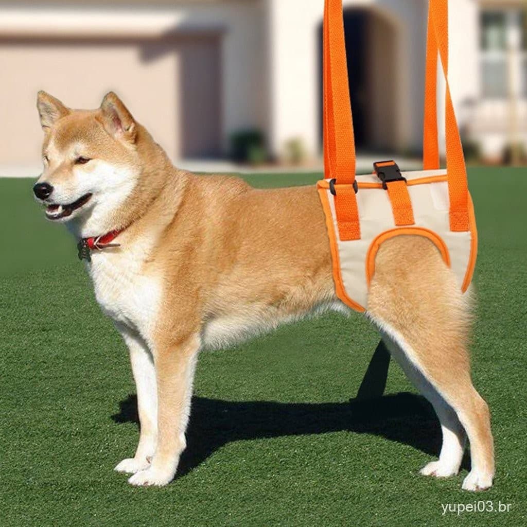 Correia ajustável para pata de animal de estimação com fivela dupla, arnês portátil para cães BRDS CB6C