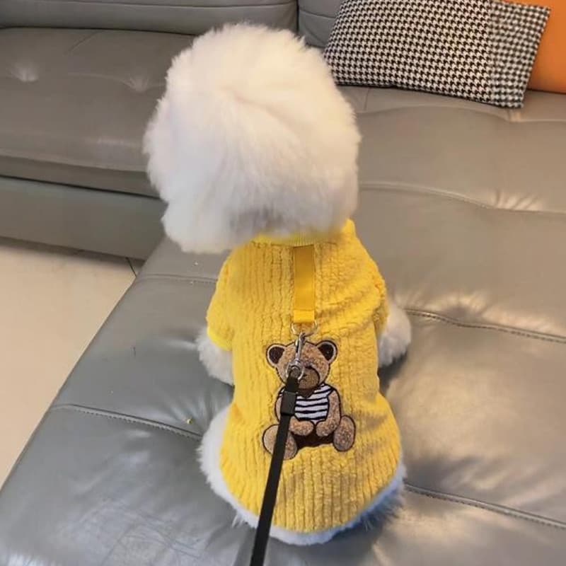Roupas para cães 2024 novo estilo outono inverno quente moletom tratável Teddy Bichon Pomeranian Schnauzer gato estilo g