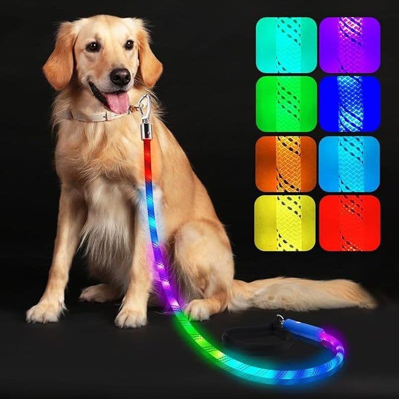 Coleira para cães e gatos, suprimentos para animais de estimação, coleira para caminhada, uso noturno, luminosa, adequad