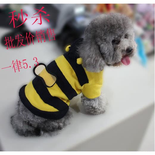 Filhote de cachorro roupas para cachorro gatinho outono inverno roupas bonito pequena abelha transformação roupas para a