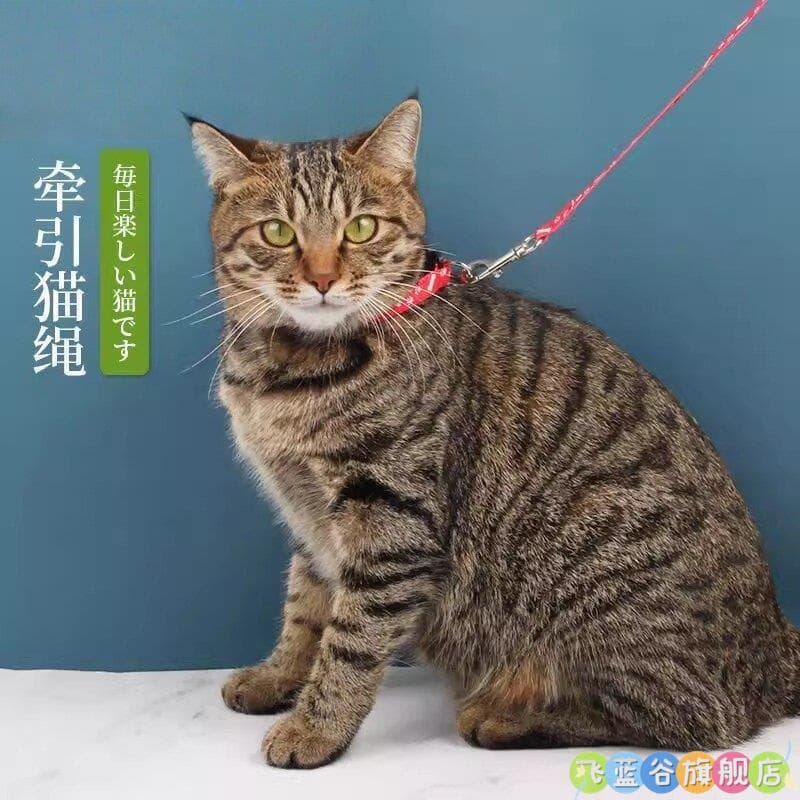 Coleira para gatos, coleira para evitar quebra no pescoço, coleira para gatos, conjunto de corda para cães e gatos, tama