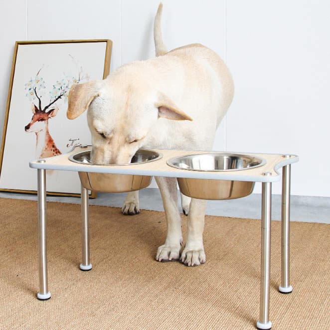 Tigela de comida para cães com altura ajustável, tigela para cães, tigela de água para cães, dupla de aço inoxidá