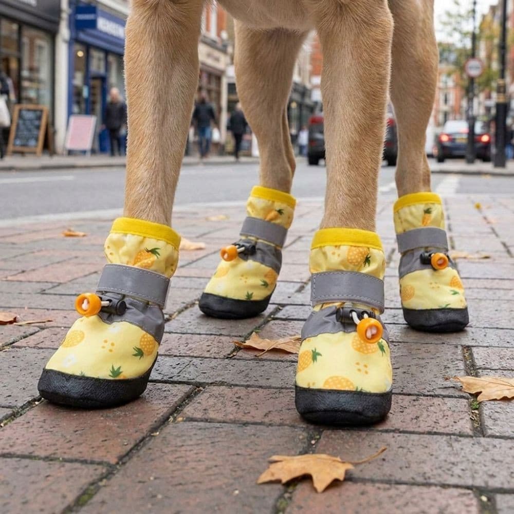Sapatos Para Animais De Estimação Com Padrão De Frutas , 4 Unidades , Protetor Antiderrapante À Prova D'água Cães , Capa