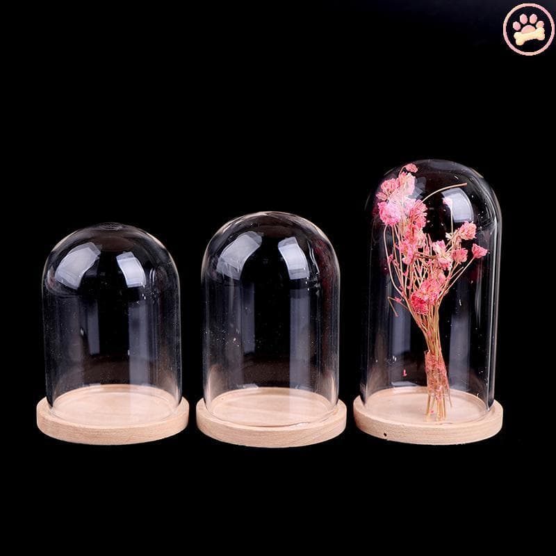 Carro 1 : 12 Casa De Bonecas Decoração Em Miniatura Flor Display Vidro Sino Jar Com Base Quente
