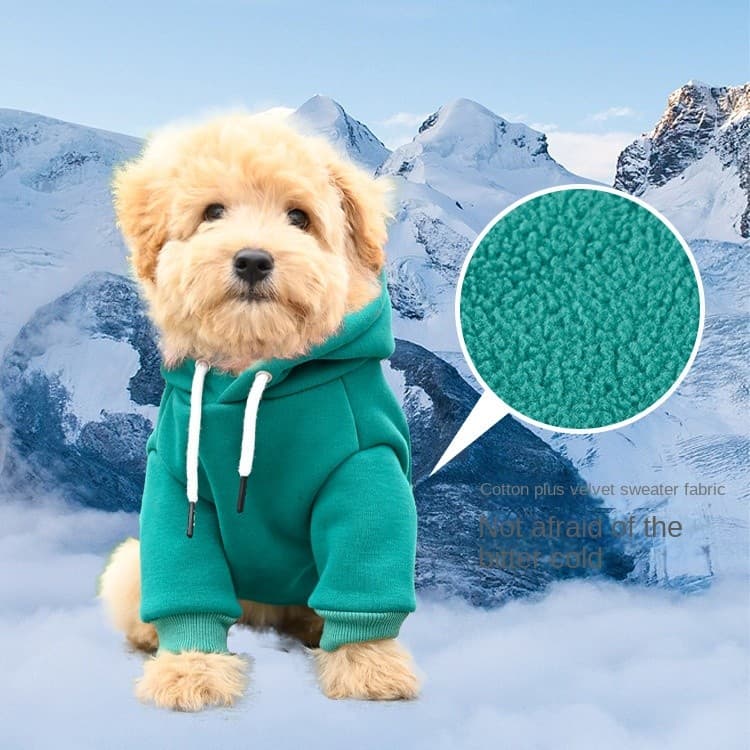 Moletom Com Capuz Para Animais De Estimação , Acessórios Bichon Frize , Roupas Cães De Algodão , Pequenos E Médios , Out