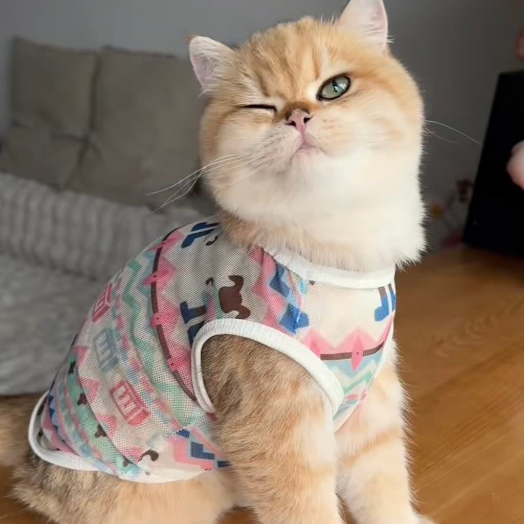 Gato 2026 verão novo estilo roupas verão Graffiti estilo fino gatinho anti-fiapos Shadwin gato gatinho anti-fiapos