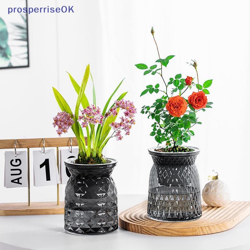 [newpros] Mini Vaso De Flores Com Rega Automática Tanque De Peixes Vasos De Plantas De Plástico Transparente Planta Para