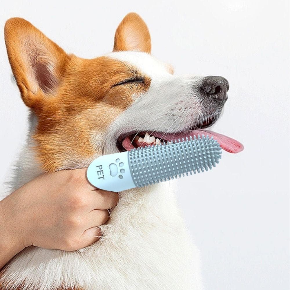 Pontas Dos Dedos Para Limpeza De Dentes De Animais De Estimação , Escovas Não Tóxicas De Silicone Super Macias 360 ° Boc