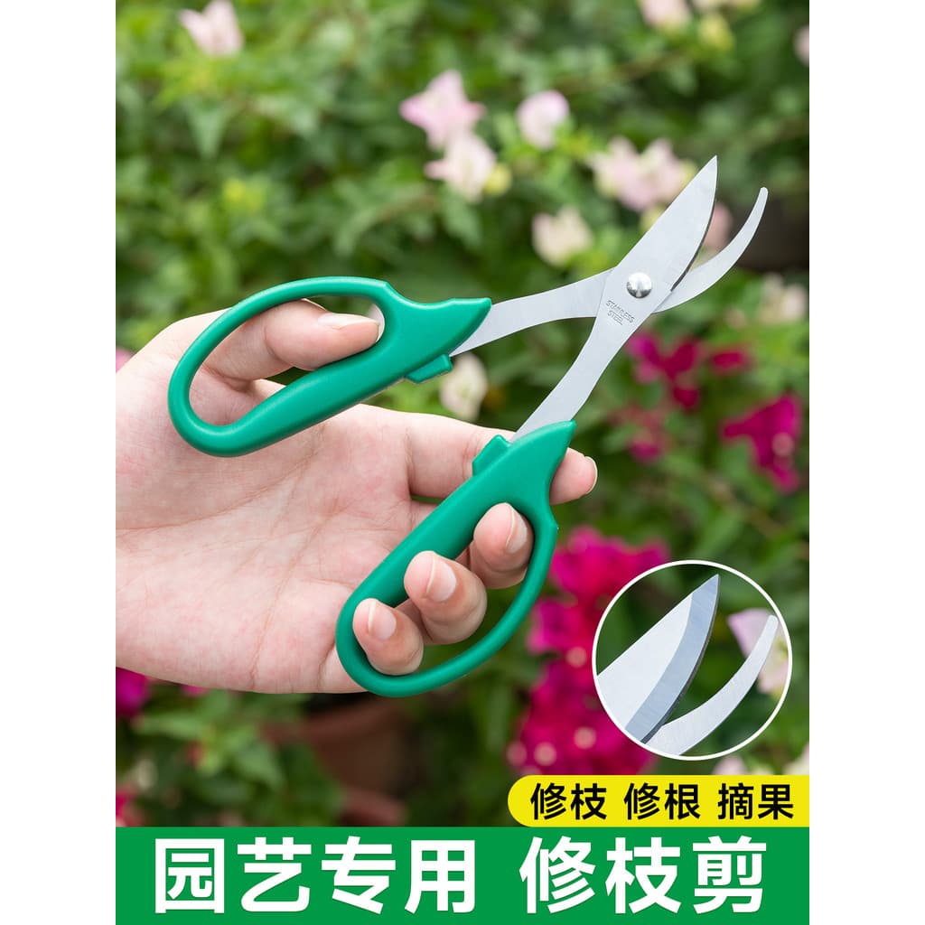 Tesouras de jardinagem Tesouras de flores Tesouras de jardim Tesouras de poda Tesouras de flores Ramos Tesouras de árvor