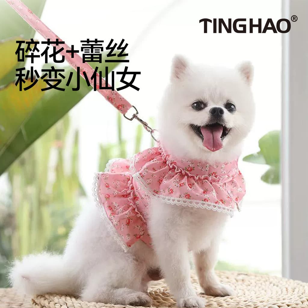 Coleira para cachorro estilo colete, coleira para cachorro pequeno, pomerânia, cachorro de pelúcia, trela para caminhada