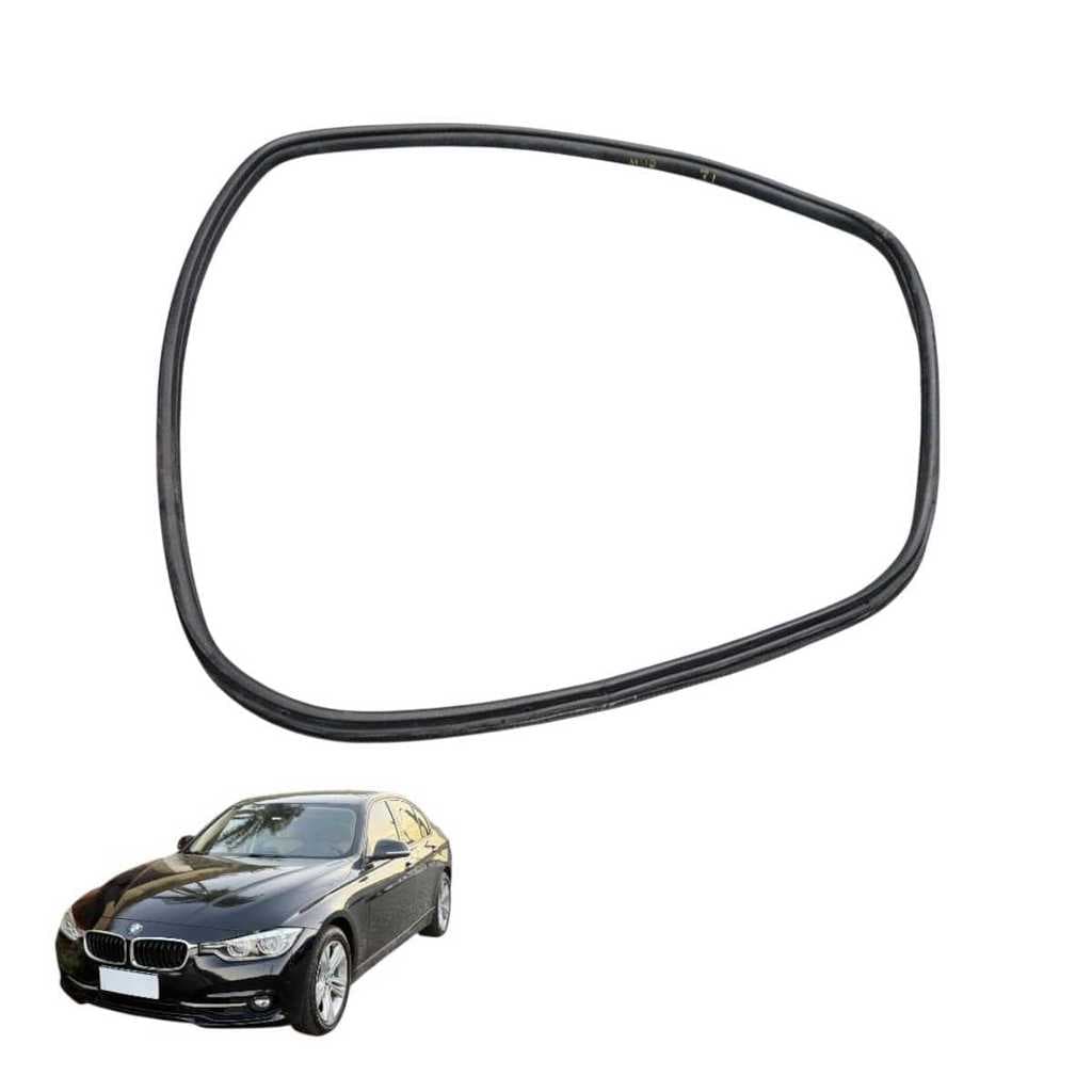 Borracha Porta Traseira Esq Bmw 320i 2015 Original