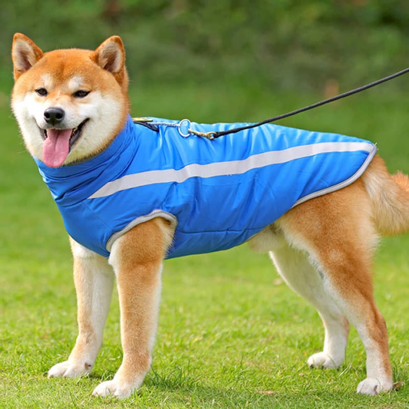 Roupas para cães outono inverno roupas Shiba Inu Corgi roupas térmicas acolchoadas cães médios grandes Labrador Golden R