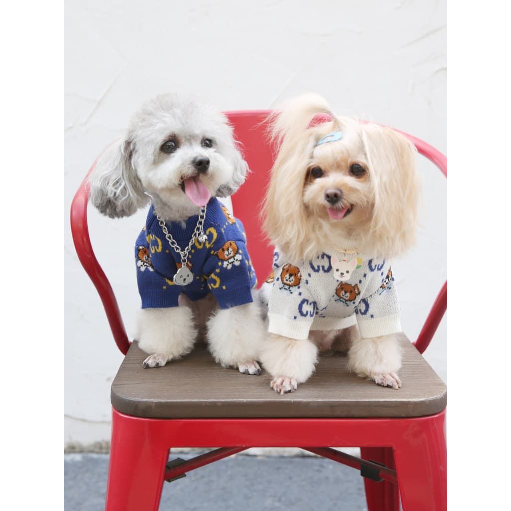 Pet Street Wear camisola roupas para cães gato Teddy Bichon Schnauzer francês luta pequeno cão Shiba Inu roupas de inver