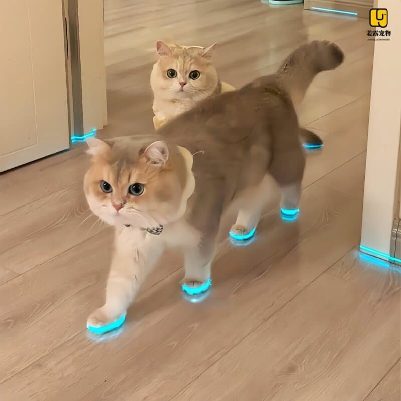 < Cat's Love Shoes} Gato sapatos luminosos brinquedo filhote de cachorro sapatos para animais de estimação quarto tiras