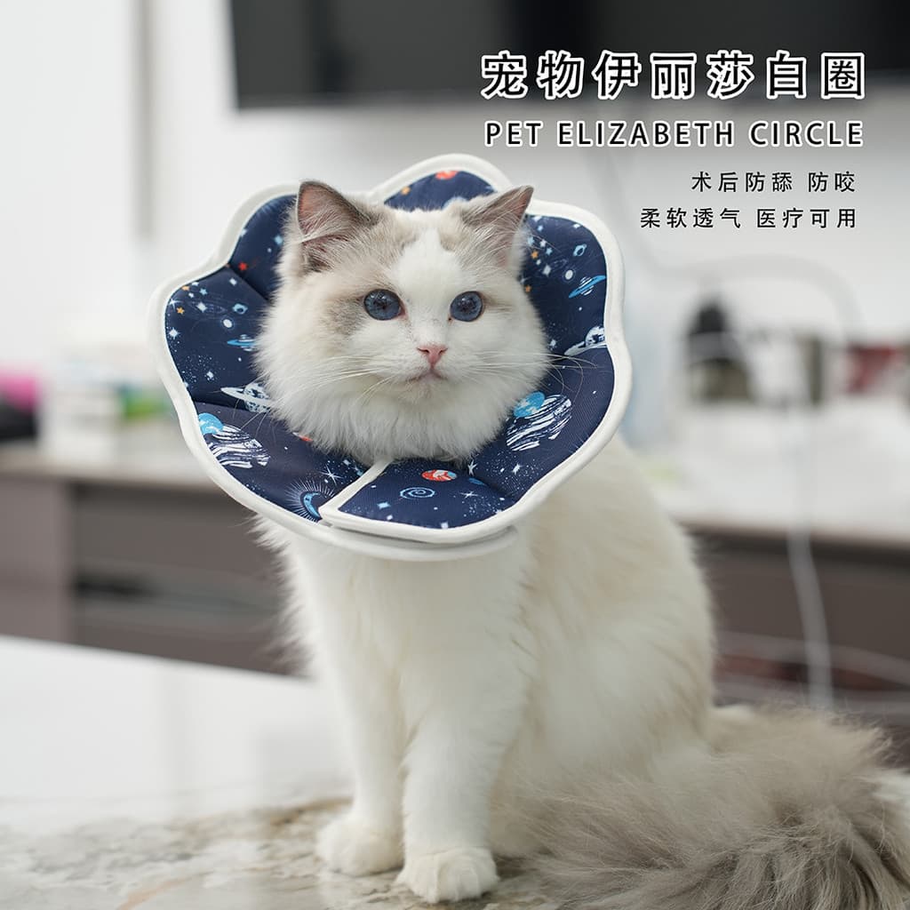 Coleira protetora para animais de estimação, coleira macia para gatos, coleira anti-lambida à prova d'água para gatos pó