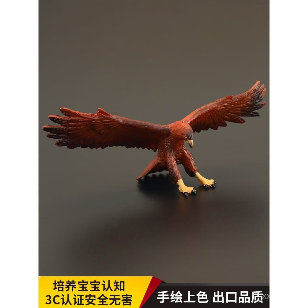 Brinquedo de modelo realista de animais para crianças: águia dourada, abutre dourado, águia velha, falcão, presente cogn