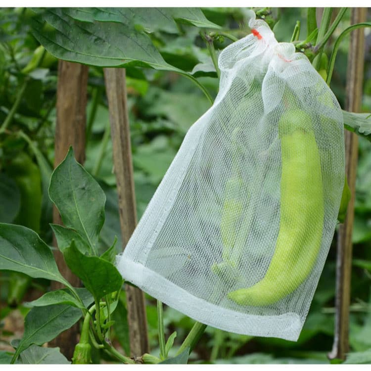 【Uso Multifuncional】From Plant Breeding to Pest Control Nylon Mesh Bags Have You Covered/Sacos De Malha De Nylon/Sacos P