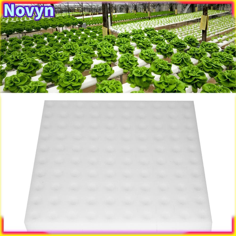 Focket Esponja Hidropônica 100 Pcs Hidroponia Solo-Menos Cultura Cultivo Plantio Ferramenta de Jardinagem Esponjas de