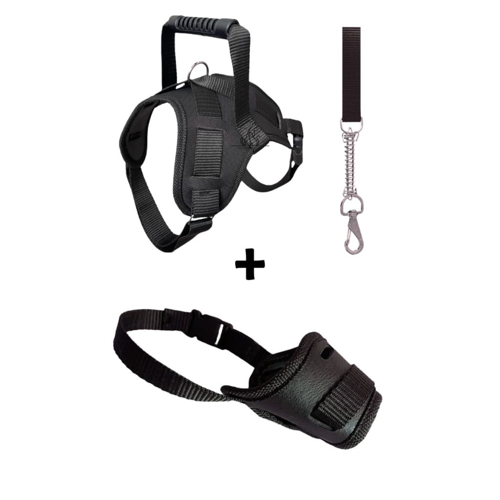 Coleira focinheira kit fucinheira para cachorro medio e grande porte dog pet varias cores