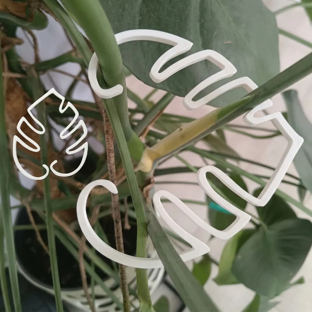 Kit 4 Suportes Organizadores Para Caule E Galho De Plantas Monstera