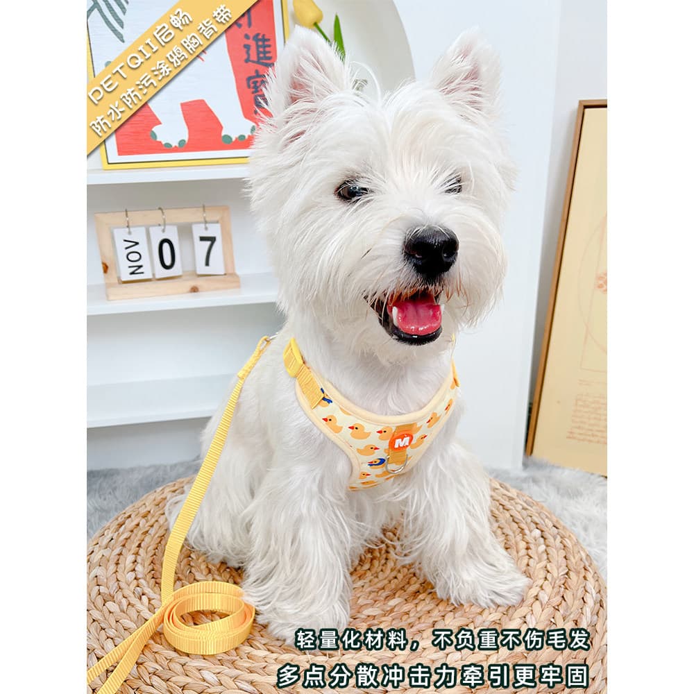 Coleira para cachorro e gato, coleira para caminhada de gato, estilo colete, coleira para cachorro, alça peitoral, supri