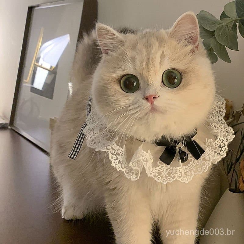 Coleira para gato, babador, decoração de colarinho de renda, lenço para cachorro, toalha para baba de animal de estimaçã