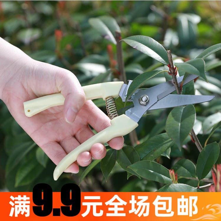 Tesouras para arte em flores de jardim Tesouras para economizar trabalho Tesouras para flores Tesouras para poda de ramo